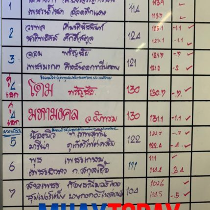 รูปร่าง + น้ำหนัก ศึกช้างมวยไทยเกียรติเพชร