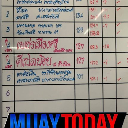 รูปร่าง+น้ำหนัก ศึกช้างมวยไทยเกียรติเพชร