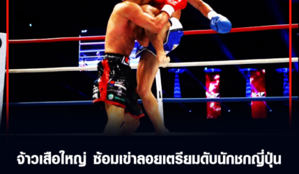 จ้าวเสือใหญ่ ซ้อมเข่าลอยเตรียมดับนักชกญี่ปุ่น ศึกมวยไทยในวันที่ 24 ม.ค.นี้