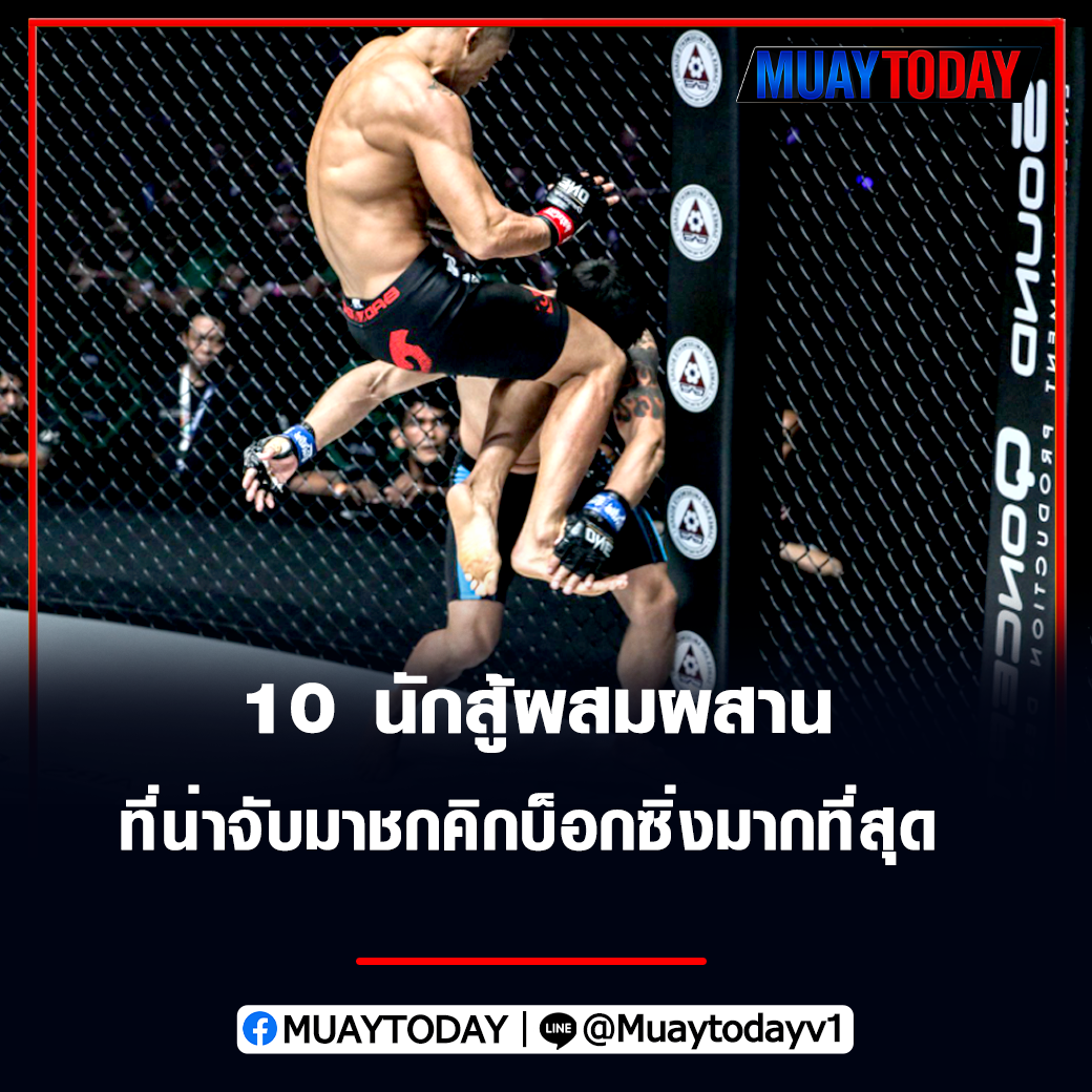 10 นักสู้ผสมผสาน 